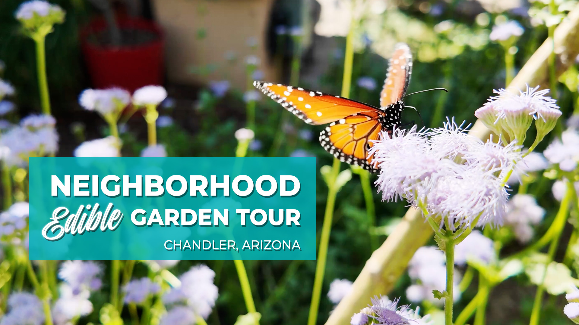 Harmony Gardens Part 1