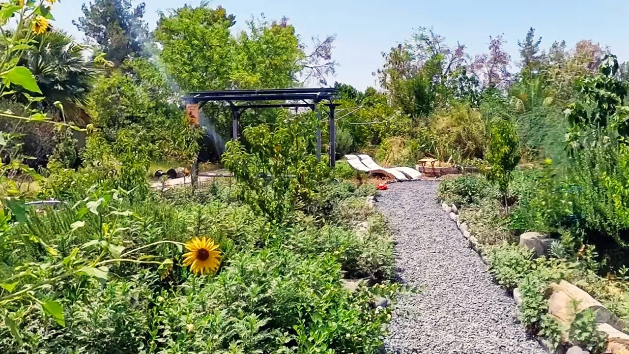 July 1, 2025 Garden Walkabout