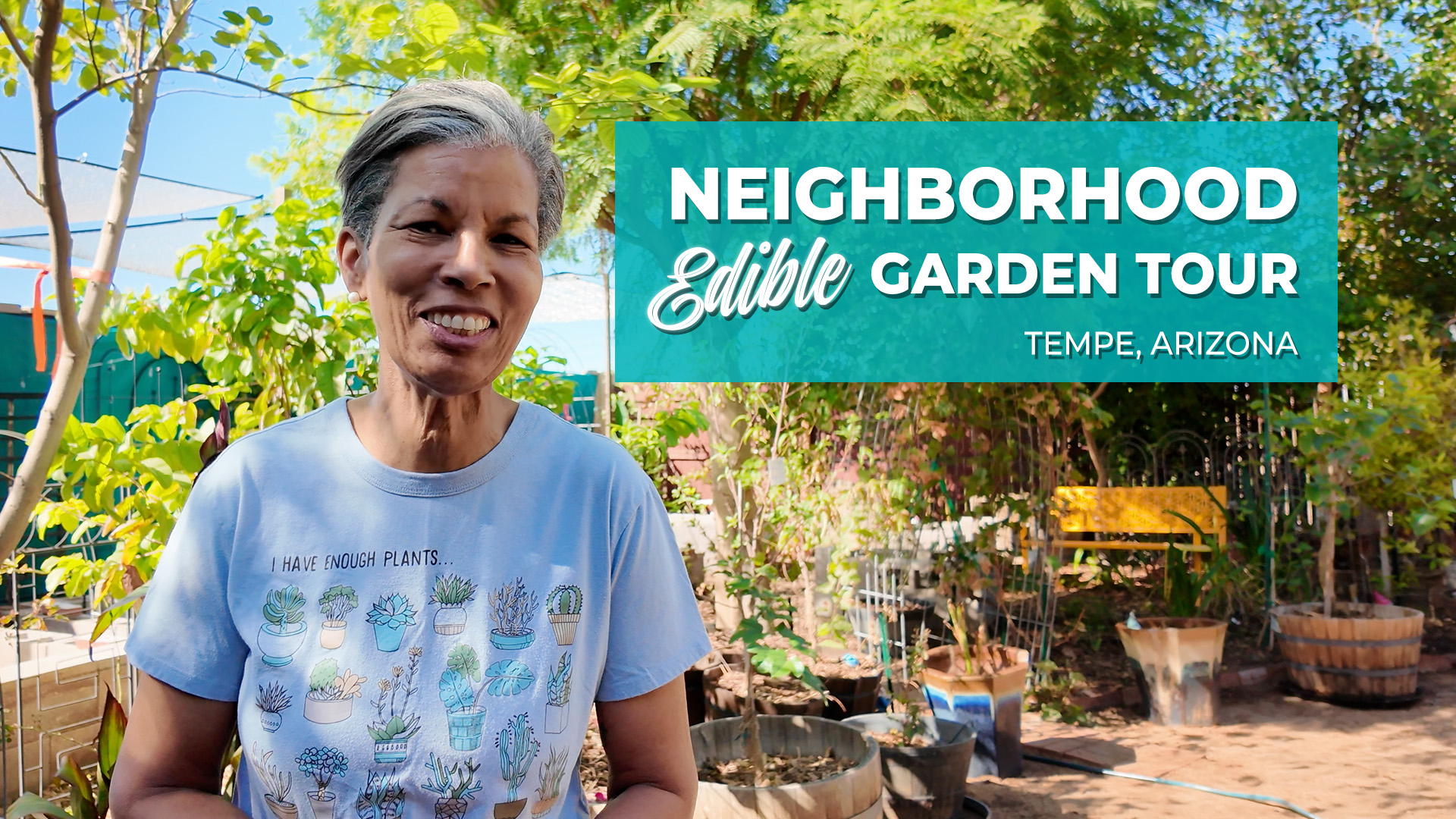 Wanda’s Backyard Garden